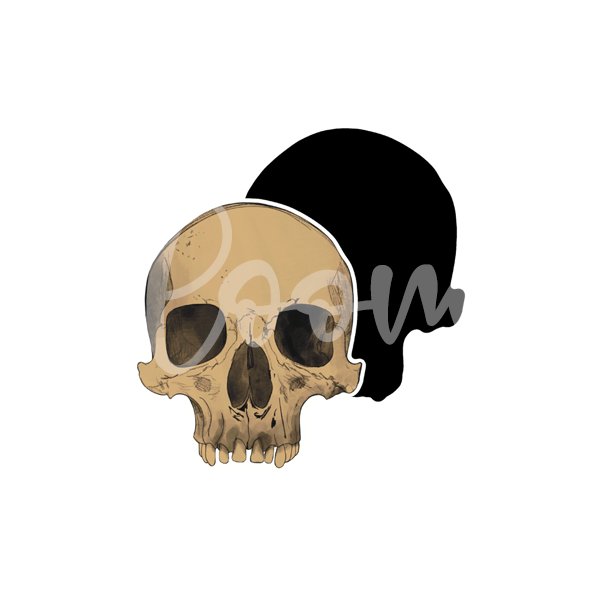 Skull
