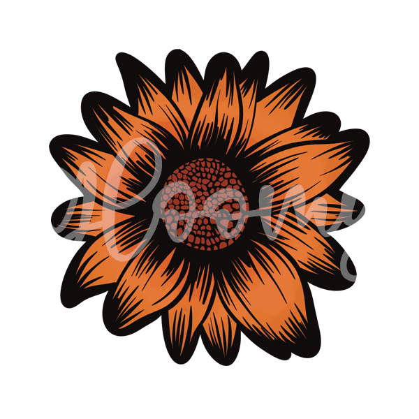 Sunflower 001