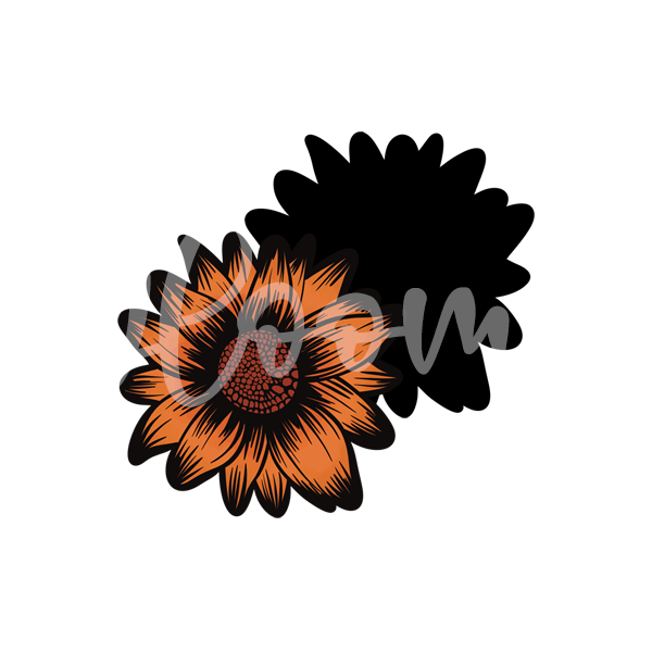 Sunflower 001