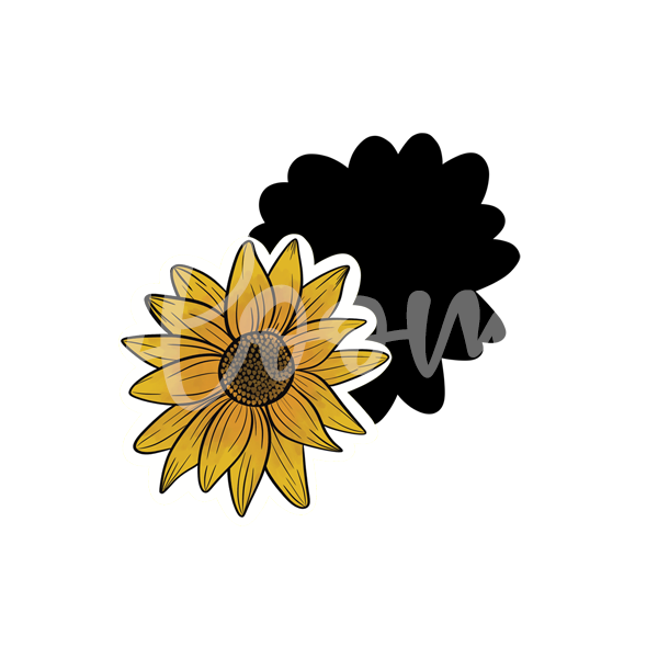 Sunflower 002