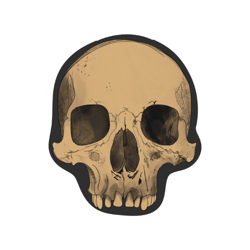 Skull